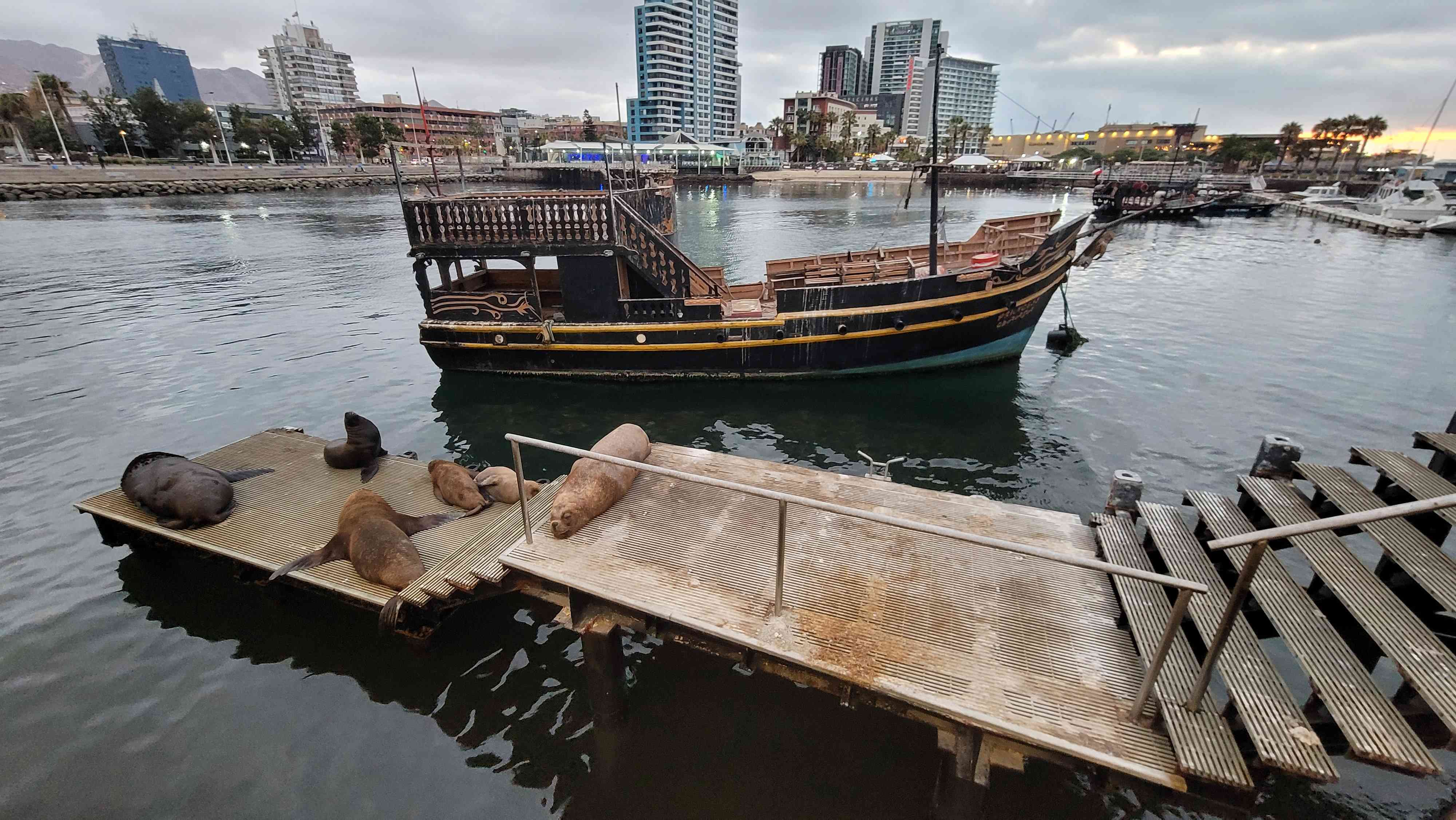 The Muelle Salitrero Compaa Melbourne Clark better known as the Muelle Histrico Historic Pier