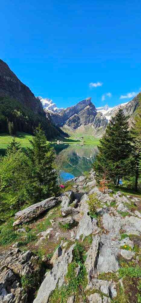 seealpsee  switzerland